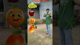 Mango orchard apple grapeytshorts shortsfeed trending viralvideo ytshorts youtubeshorts [upl. by Cressi524]