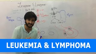 Leukemia  Overview  Classification [upl. by Vaules]