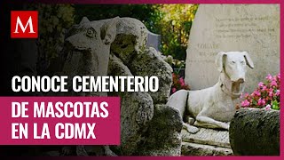 ¿Deseas despedir a tu lomito Conoce este cementerio para mascotas en la CdMx [upl. by Anitsrik]