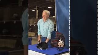 Best in Show 2018 ARBA Convention Tex Thomas with his Silver Marten rabbit [upl. by Veator]