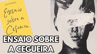 Ensaio sobre a cegueira  José Saramago  Uma Família Que Lê [upl. by Naujyt]