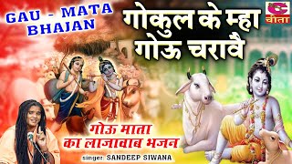 Gau Mata Bhajans  गोऊ माता का लाजवाब भजन  गोकुल के म्हा गोऊ चरावै  Sadeep Siwana  गौ माता भजन [upl. by Yerhpmuh]