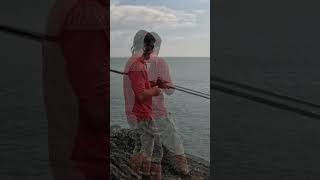 wrasse fishing at West Wales shorts wrasse beachfishing fish fishing shorefishinguk [upl. by Tsyhtema]