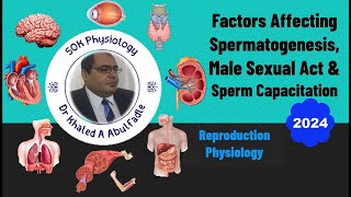 Factors Affecting Spermatogenesis amp Male Sexual Act 102024 by Dr Khaled A Abulfadle [upl. by Strage]