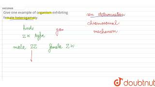 Give one example of organism exhibitingfemale heterogamety  CLASS 12  XII BOARDS  BIOLOGY [upl. by Iot629]