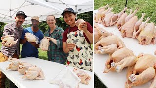 At Home CHICKEN PROCESSING 3 Months Worth [upl. by Eatnad989]