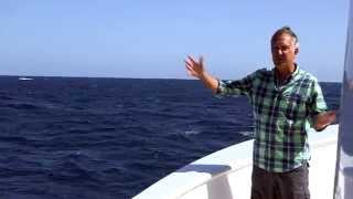 Blue Whales brilliant timing  Big Blue Live Preview  BBC One [upl. by Per518]