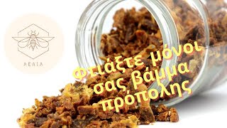 DIY Propolis Πως Φτιάχνω Βάμμα πρόπολης [upl. by Wiedmann495]