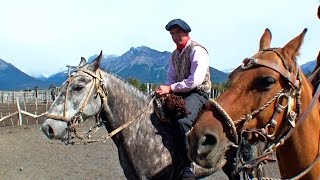 Gauchos argentinos  Caballos criollos en El Calafate  Argentine horses cowboy turismo travel [upl. by Nosreh458]