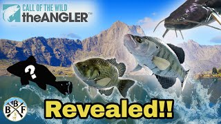 SECRET FISH REVEALED Locations hook sizes amp more info Plus Wels  Call of the Wild theAngler [upl. by Nalad]