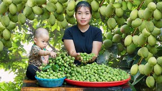 Picking up canarium fruit to sell at the market Daily life of a 14yearold single mother [upl. by Ariat]