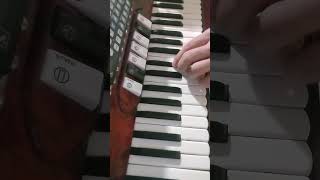 Acordeon Moreschi de 80 bajos accordion akkordeon fisarmonica [upl. by Ativad33]