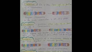 The Wild World of Chromosomal Mutations [upl. by Ahserb]