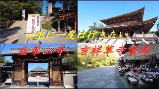 【帰りたくなくなる奈良県観光】金峯山寺の蔵王権現様の迫力に圧倒され困った時の神頼みの神様がいる吉祥草寺へ [upl. by Ynnig]