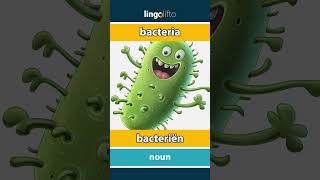 🇬🇧🇳🇱 bacteria  bacteriën  vocabulary builder  learn English  laten we Engels leren [upl. by Wilda]