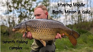 Basils Mason amp Gold  Staying mobile at Darenth Fishing Complex [upl. by Grannias]