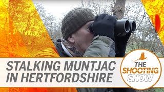 The Shooting Show  Muntjac stalking and a corvid control double header [upl. by Ardnoik440]