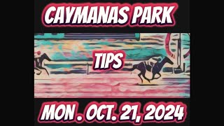 caymanas park tips for monday october 21 2024 [upl. by Nella268]