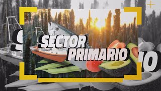 Sector Primario 17 enero 2024 17 01 24 [upl. by Lav]