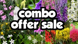 combo offer saleSeras gardens120624 [upl. by Nair]