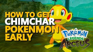 How to Catch Chimchar Pokemon Legends Arceus [upl. by Davison]