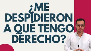 🔴INDEMNIZACIÓN por DESPIDO sin JUSTA CAUSA  INDEMNIZACIÓN CONTRATO de TRABAJO🔴 [upl. by Piane116]