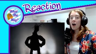 quotBohemian Rhapsody  Muppet Music Videoquot by The Muppets Reaction Video [upl. by Annaitsirk]