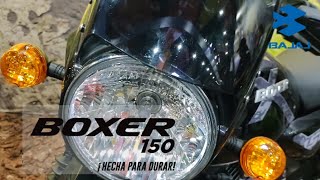 Nueva BAJAJ BOXER X150  MODELO 2024 Con ADN de doble propósito Lanzamiento F2R [upl. by Nnylyma]