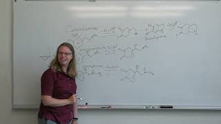 Echem bootcamp week3 2 Measuring Neurotransmitters 1 [upl. by Ardine579]