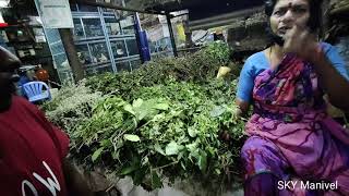 Fresh Herbal Selling at Madurai  மதுரையில் மூலிகை செடிகள் விற்பனை  SKY Manivel [upl. by Loesceke]