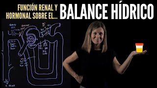 Regulación renal y hormonal del Balance hídrico homeostasis de la volemia [upl. by Timmons537]