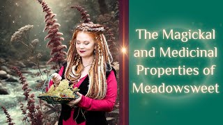 The MAGICKAL and MEDICINAL Properties of MEADOWSWEET [upl. by Macrae430]