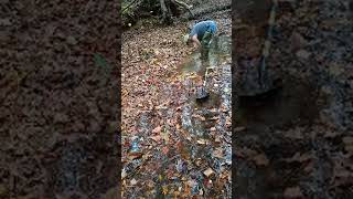 Bent Fork OMG FINALLY Live gold goldmining goldpanning goldprospecting [upl. by Blackmore]