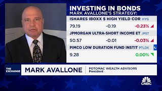 Potomacs Mark Avallone bonds pose attractive diversification away from stocks over next decade [upl. by Brien]