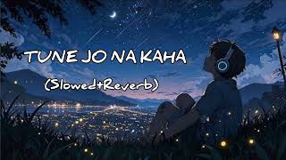 Tune Jo na kaha Slowedreverb  Sad song  Lofi song  WYC AGR LOFI [upl. by Valma]