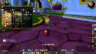 WoW PvP  Disc Priest PVP Guide  Talents and Glyphs ft Burnished  TGN [upl. by Halludba]