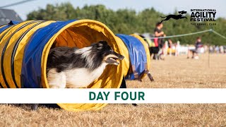 The Kennel Club International Agility Festival 2024  Day 4 Main Ring [upl. by Ardnic]