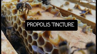 What is Propolis Tincture [upl. by Adyela805]