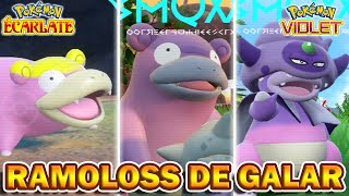 RAMOLOSS  FLAGADOSS  ROIGADA DE GALAR  Pokémon Violet amp Écarlate  DLC Disque Indigo [upl. by Marilee173]