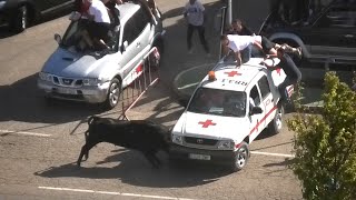 Arrabal de Portillo 2024 Los Toros Dando a Los Coches [upl. by Barbaraanne463]