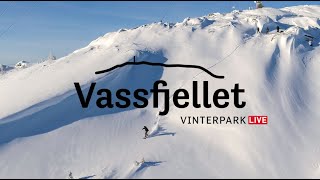 Vassfjellet LIVE [upl. by Llenrod]