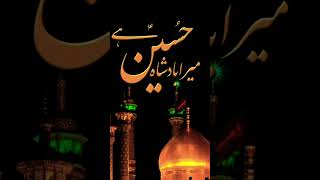 Mara Badshah hussain ha beautiful naatstatus best love islamicstatus islamicvideo islamic [upl. by Alica150]