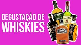 EXPERIMENTANDO WHISKIES DIFERENTES DO DUTYFREE  10QualquerCoisa [upl. by Atilek]