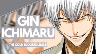 GIN ICHIMARU  Bleach Character ANALYSIS  The ColdBlooded Smile [upl. by Ahras]