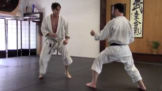 Rick Hotton Karate Kicking [upl. by Anak975]