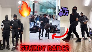 Sturdy Dance V3 🔥💯🌍  TikTok Compilation [upl. by Strang212]