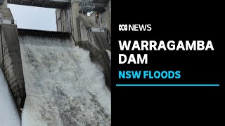 Warragamba Dam is overflowing and spilling equivalent of Sydney Harbours water each day  ABC News [upl. by Carlin501]