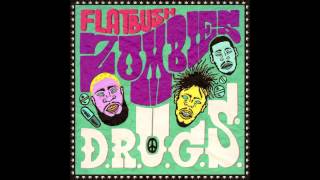 Flatbush Zombies  SCOSA Prod By Erick Arc Elliott [upl. by Carman]