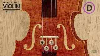 Violin Tuner GDAE in A 440Hz [upl. by Eclud]