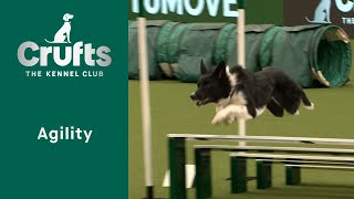 Agility  Crufts Novice Cup Final Jumping  Part One  ​Crufts 2023 [upl. by Kinch849]